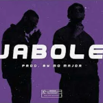 Wizkid X Lojay Type Beat